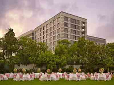 Grand Hyatt Hotel Call Girls